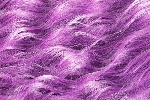 Texture Long Purple Wavy Hair Hair Coloring Styling Concept — Stock Photo, Image
