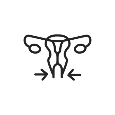Özel plastik kadın üreme sistemi renk çizgisi simgesi. Web sayfası için pictogram özeti.