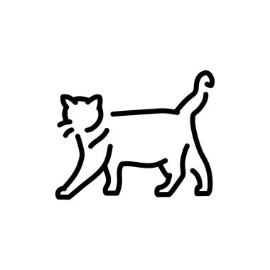 Mutlu kedi ayakta duran renk çizgisi ikonu. Web sayfası için resim grafiği