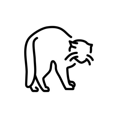 Kızgın kedi renk çizgisi simgesi duruyor. Web sayfası için resim grafiği