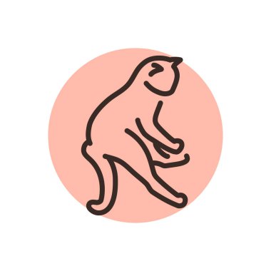 Mutlu kedi ayakta duran renk çizgisi ikonu. Web sayfası için resim grafiği