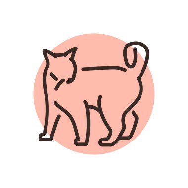 Neşeli kedi duruşu renk çizgisi simgesi. Web sayfası için resim grafiği