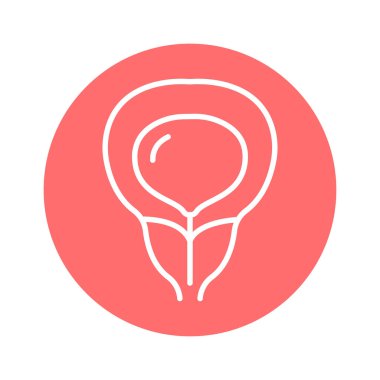 İnsan organı mesane çizgisi ikonu. İzole vektör ögesi. 