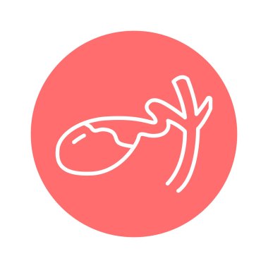 İnsan organı safra kesesi hattı ikonu. İzole vektör ögesi. 