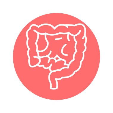 İnsan organı bağırsak hattı ikonu. İzole vektör ögesi. 