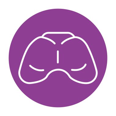 Female butt color line icon. Pictogram for web page