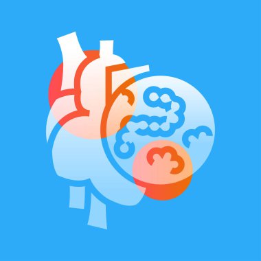 Kalp çizgisi simgesi. Web sayfası, mobil uygulama, düğme, logo için imza. İzole edilmiş vektör düğmesi. Düzenlenebilir vuruş.