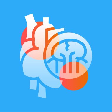 Kalp çizgisi simgesi. Web sayfası, mobil uygulama, düğme, logo için imza. İzole edilmiş vektör düğmesi. Düzenlenebilir vuruş.