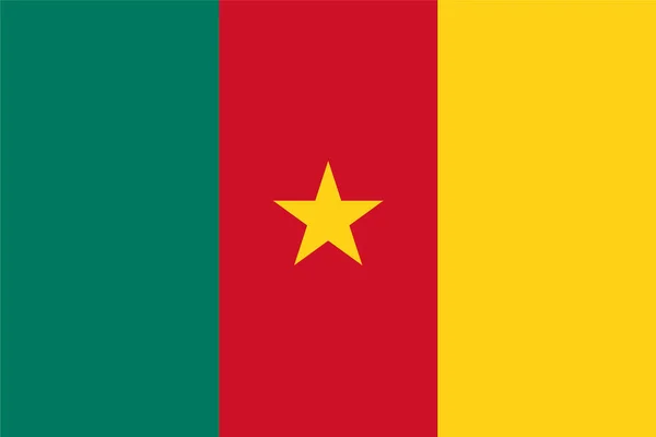 Camerún Bandera Forma Estándar Color — Vector de stock