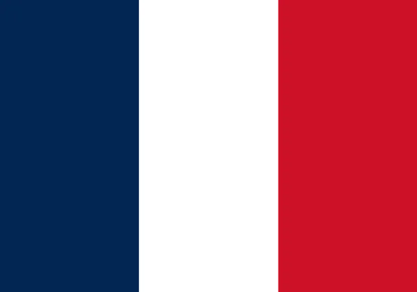 Frankreich Flagge Standardform Und Farbe — Stockvektor