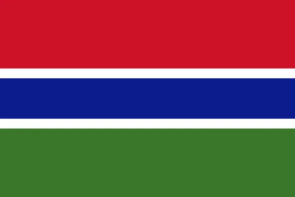Onda Bandeira Gâmbia Isolada Png Fundo Transparente — Vetor de Stock