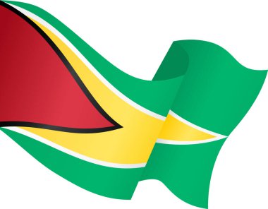 Guyana bayrak dalgası png veya şeffaf arkaplanda izole edildi