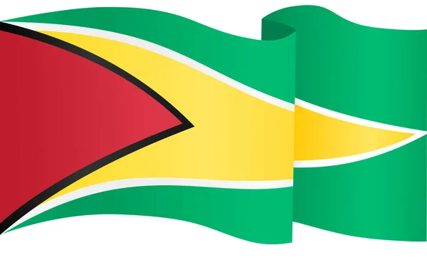 Onda Bandeira Guiana Isolado Png Fundo Transparente — Vetor de Stock
