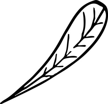 Beyaz arka grupta yaprak izole