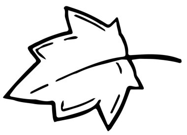 Beyaz arka grupta yaprak izole