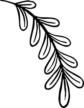 Şükran Günü için beyaz arka planda yaprakları olan bir şube.