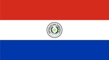Paraguay bayrak yetkilisi png veya şeffaf arkaplan vektörü resimlemesinde izole edildi.  