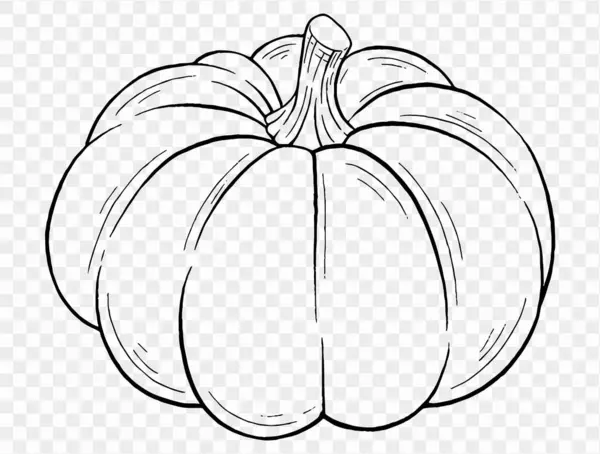 stock vector Outline pumpkin hand draw with brush style isolated on png or transparent texture,Halloween party background ,element template for poster, brochures, online advertising, vector illustration 