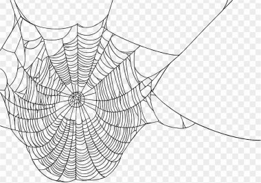 Cadılar Bayramı partisi için örümcek ağı arkaplanı izole png veya şeffaf doku, metin için boş alan, poster için element şablonu, broşürler, çevrimiçi reklamcılık, vektör ilülasyonu 