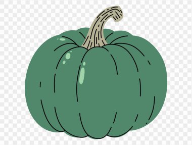 Kabak kabağı çizim biçimi png veya şeffaf dokuda izole edilmiş, Cadılar Bayramı parti arka planı, poster, broşür, çevrimiçi reklam, vektör illüstrasyonu 