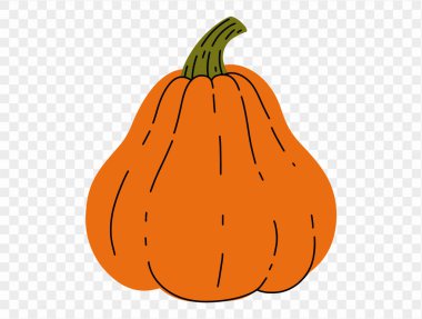 Kabak kabağı çizim biçimi png veya şeffaf dokuda izole edilmiş, Cadılar Bayramı parti arka planı, poster, broşür, çevrimiçi reklam, vektör illüstrasyonu 