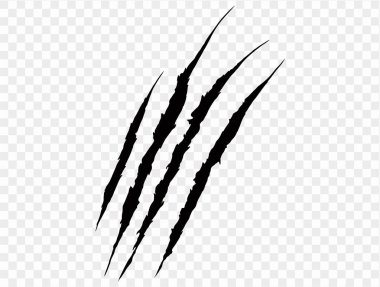 Four black claw scratches isolated on a transparent background. Perfect for Halloween designs, horror themes, and animalistic effects. clipart