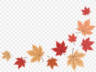 Orange maple leaves corner border on transparent background, ideal for fall and Thanksgiving designs. vector clipart