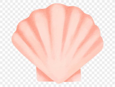 Yumuşak pembe deniz kabuğu çizimi okyanus yaşamını, sahil güzelliğini ve suluboya tarzında yaz tatillerini sembolize ediyor.