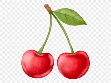 Romantik ve tatlı yaz temaları için bir çift suluboya kiraz. vektör.