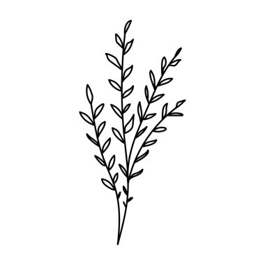 Bir çiçek tasviri, yapraklı ve çiçekli bir dal silueti. Vektör çizimi. Çiçek izi.