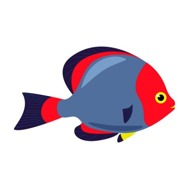 Decorative sea fish with blue red fins. Vector fish isolate in flat style, Sea exotic animals