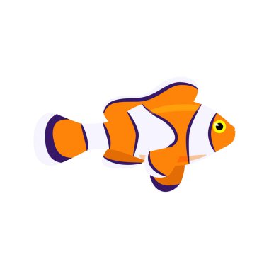 Decorative marine fish orange with white stripes. Vector marine fish isolated on white background