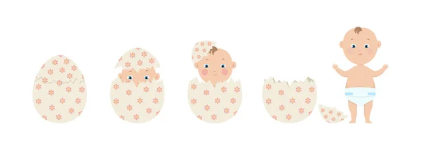 Parto Ovuli Evoluzione Dello Sviluppo Embrionale Illustrazione Vettoriale — Vettoriale Stock