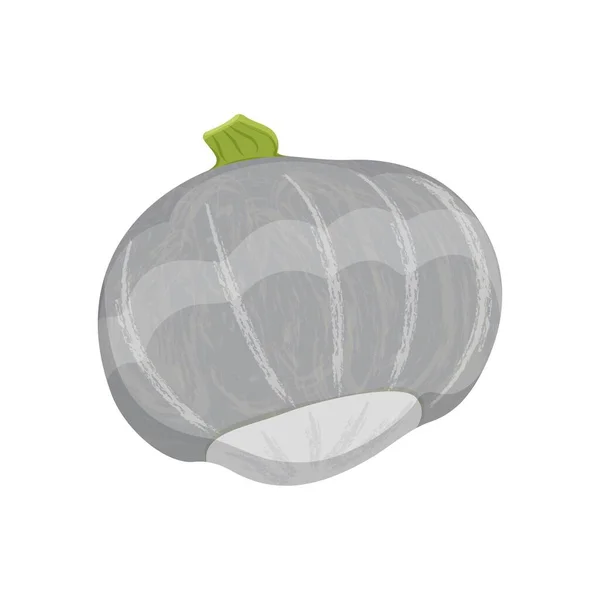 Λαχανικό Κολοκύθας Φθινόπωρο Συγκομιδή Κολοκύθας Λευκό Φόντο Εικονογράφηση Διανύσματος — Διανυσματικό Αρχείο