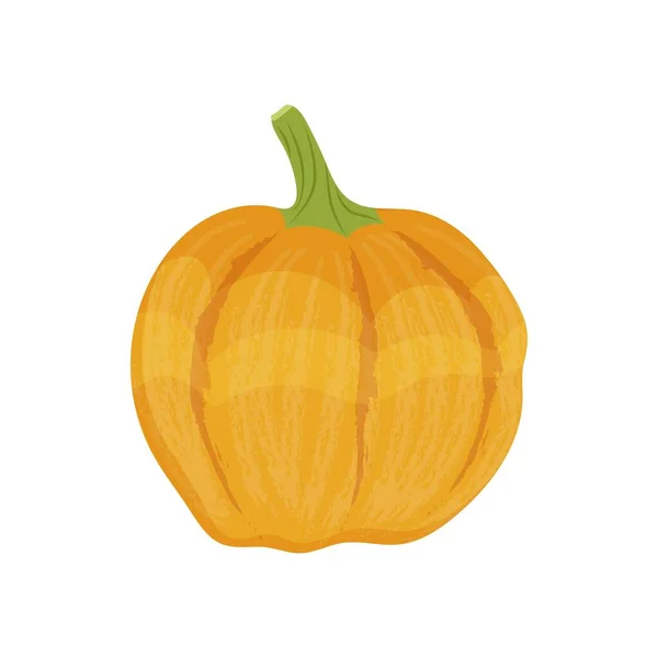 Yellow Pumpkin Autumn Vegetable Pumpkin Harvest White Background Vector Illustration — Stock Vector