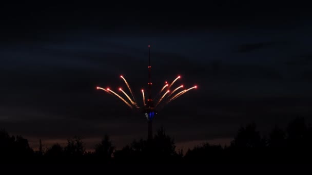 Widok Nocy Fajerwerków Wieży Widok City Tower Fireworks Strona — Wideo stockowe
