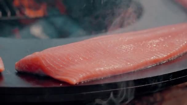 Red Fish Cooking Grill Buitenpartij Grillen — Stockvideo