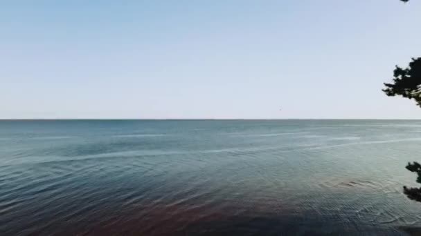 Wybrzeże Morza Zachodzie Słońca Wybrzeże Piasku Zielonym Lasem Plaża Piasku — Wideo stockowe