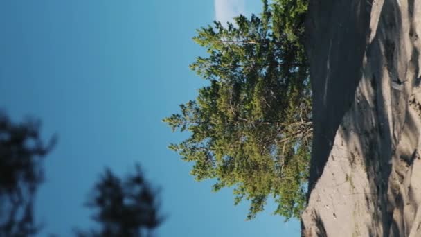 Vertical Video Bike Driving Sand Slow Motion Dalam Bahasa Inggris — Stok Video