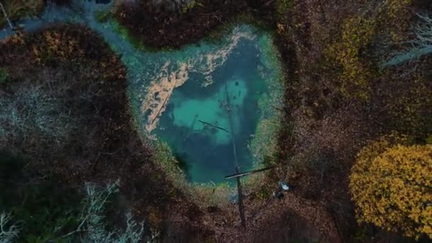 Dolda Forest Blue Water Lake Naturmiljö Sjön Skogen — Stockvideo