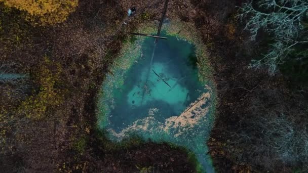 Bosque Oculto Blue Water Lake Naturaleza Medio Ambiente Lago Bosque — Vídeo de stock