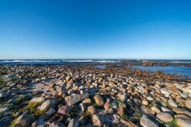 Ümit Burnu 'ndaki Atlantik Okyanusu manzarası, Cape Peninsula, Batı Burnu, Güney Afrika