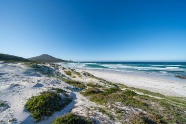 Platboom Plajı, Ümit Burnu yakınında, Cape Yarımadası, Batı Burnu, Güney Afrika