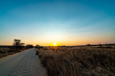 Güney Afrika 'daki Kgalagadi Transfrontier Parkı' nda gün batımında manzara rotası