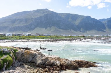 Güney Afrika 'da Simons Town yakınlarındaki Boulders Plajı