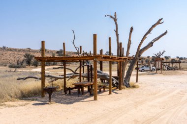 Güney Afrika 'daki Kgalagadi Transfrontier Park' taki Twee Rivieren Dinlenme Kampı yakınlarındaki piknik alanı