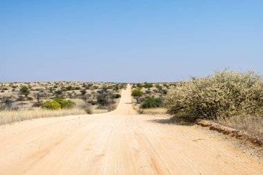Güney Afrika 'daki Kgalagadi Sınır Aşan Parkı' ndaki manzara rotası
