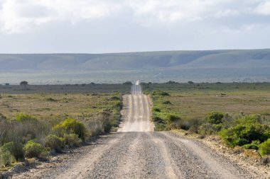 De Hoop Doğa Rezervi, Güney Afrika 'nın Batı Cape Eyaleti' nde bir doğa rezervi.