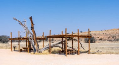 Güney Afrika 'daki Kgalagadi Transfrontier Park' taki Twee Rivieren Dinlenme Kampı yakınlarındaki piknik alanı