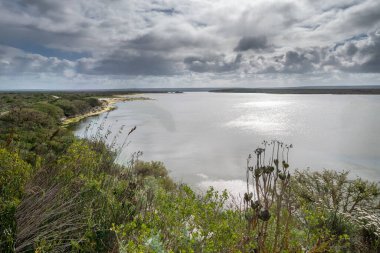 De Hoop Doğa Rezervi, Güney Afrika 'nın Batı Cape Eyaleti' nde bir doğa rezervi.